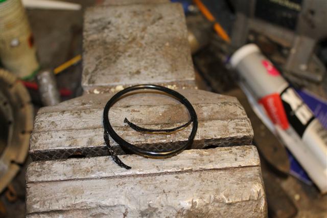 IMG_1310 (Small).JPG