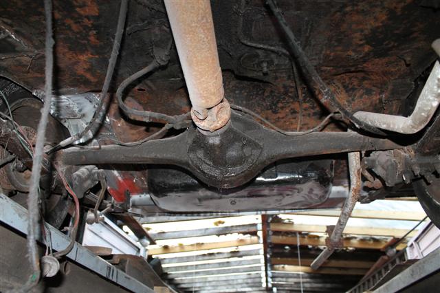 IMG_1347 (Small).JPG