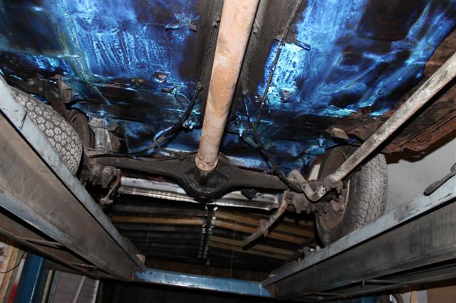 IMG_1364 (Small).JPG