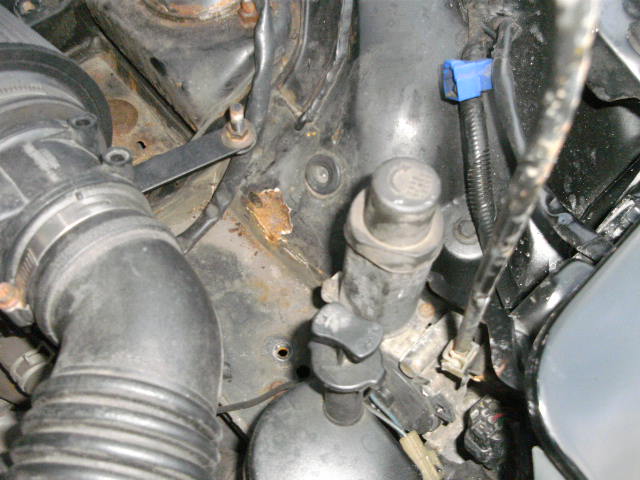 BILD1451.JPG