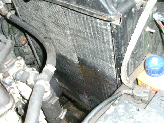 BILD1461.JPG