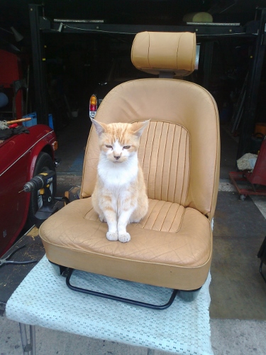 Photo1541 (375x500).jpg