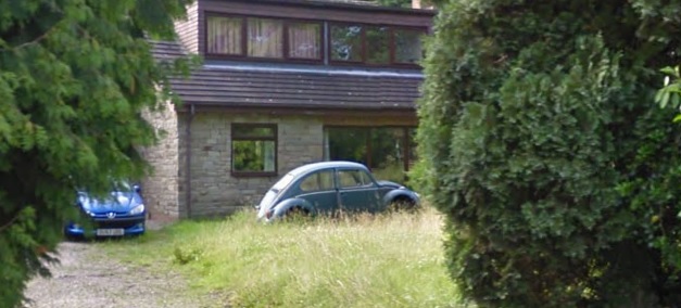 beetle.jpg
