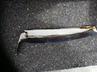 20150520_121936 small.jpg