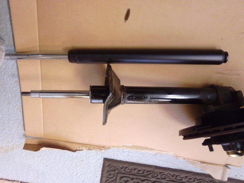 cartridge & strut.jpg