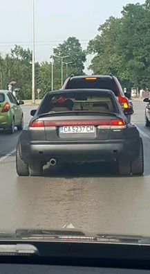 dualy.jpg