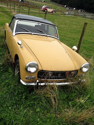 charity calendar 001.JPG