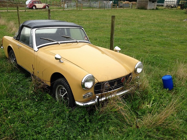 charity calendar 002.JPG