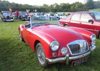 IMG_1296B.jpg