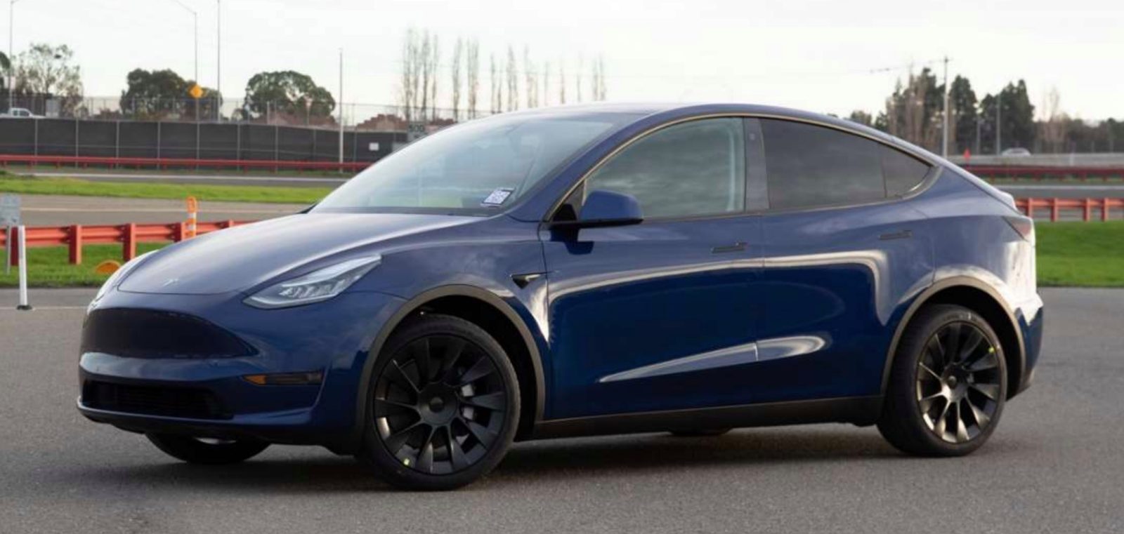model y.jpg